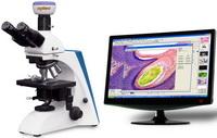 BK系列臨床、實驗室生物顯微鏡